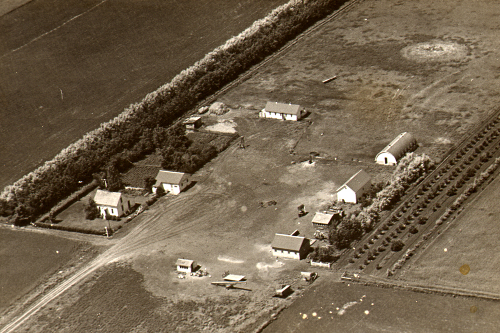 Stories on the Road to Hillhead